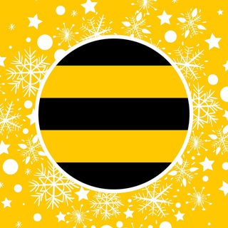 Beeline | NEWS
