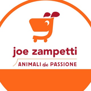 Joe Zampetti - joe zampetti volantino