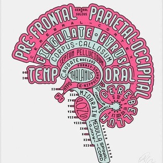 Neuroscience