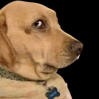 CyberModding News Telegram channel