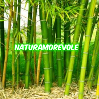 NATURAMOREVOLE Telegram channel