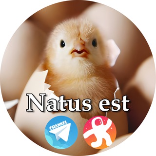Natus est IT Telegram channel