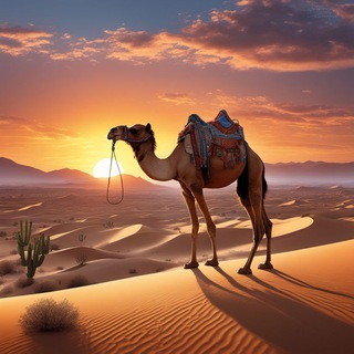 Arab tilini o'rganamiz