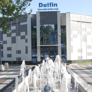 Delfin YSH ?