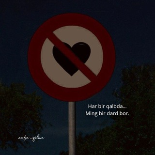 NOZA _SHOP В НАЛИЧИИ