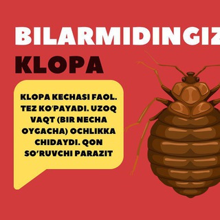 Дезинфекция Dizenfeksiya
