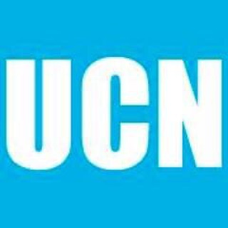 UltimeCalcioNapoli (Notizie sulla SSC Napoli Calcio) Telegram channel
