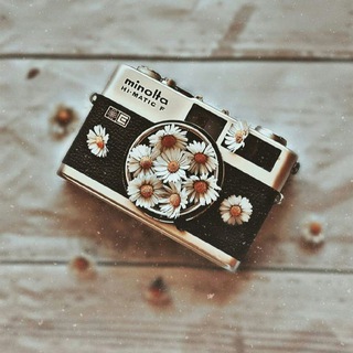 Photographer