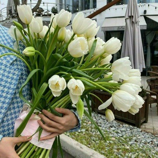 Gullar rasmi. Flowers