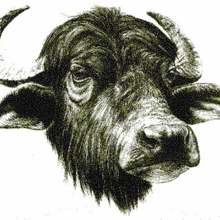 Bufalegram Telegram channel