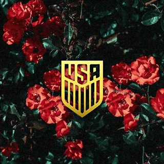 — SＡＢＲＡＮＩ MＵＺོ ?⃤ ⁞ ???