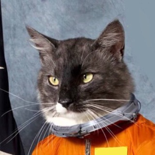 Overcatby - Telegram Channel