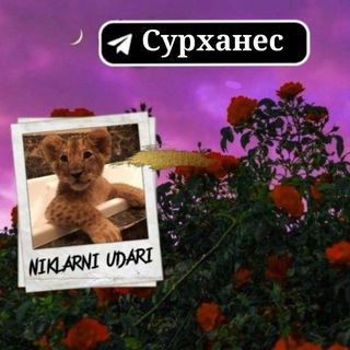 ⚜?NIKLARNI?UDARI?⚜