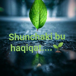 SHUNCHAKI BU HAQIQAT..?