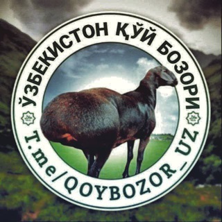ЎЗБЕКИСТОН ҚЎЙ БОЗОРИ | расмий канал ??
