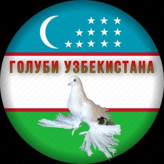 Голуби Узбекистана ???️?️