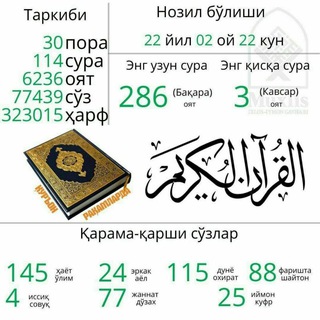 ༻ Islomiy nashedalar ༺