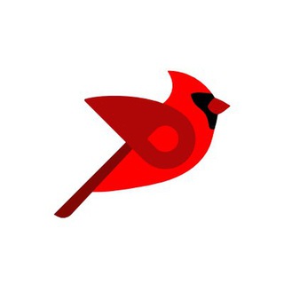 Bird Community Flock Telegram channel
