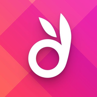 dealbunny.de Telegram channel