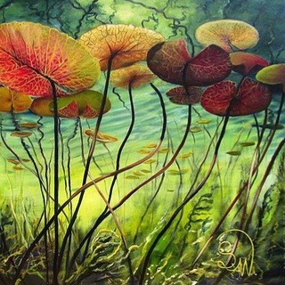 LilyPad - Telegram Channel