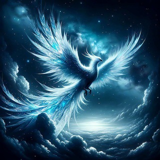 We study to get free - Telegram Channel