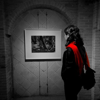 ????????????? - Telegram Channel