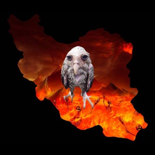 باقی - Telegram Channel