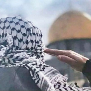 ياسر محمود الحاج ?? - Telegram Channel