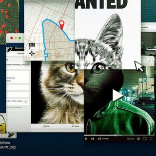Don't fuck with cats Telegram channel