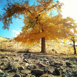 روستای ابره در - Telegram Channel