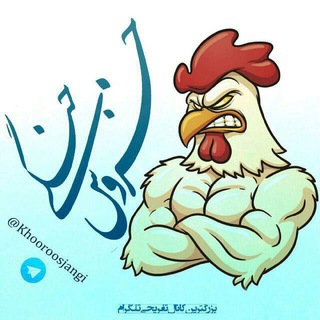 ? خروس جنگی? - Telegram Channel