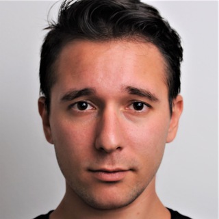 Manuel Müllner (Info-Kanal) Telegram channel