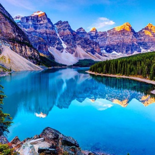 روسيا الان ?? - Telegram Channel