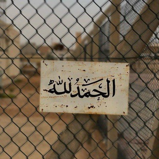 ایران دیجیتال | سیگنال و آموزش - Telegram Channel