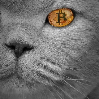 Crypto Cat Farsi ? - Telegram Channel