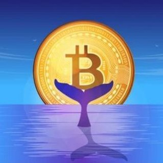 کانال سیگنال ارز دیجیتال - Telegram Channel