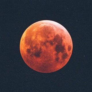 N O T H I N G S - Telegram Channel