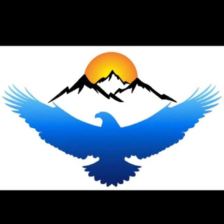 FREI-NETZ Telegram channel