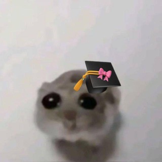 11 متقدم ? . - Telegram Channel