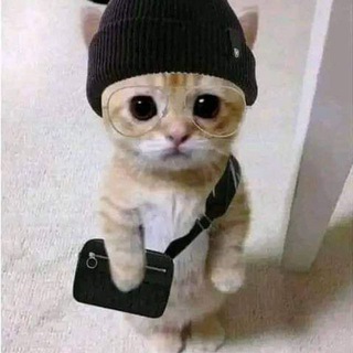 RICK ONLINE STORE ❤️ - Telegram Channel