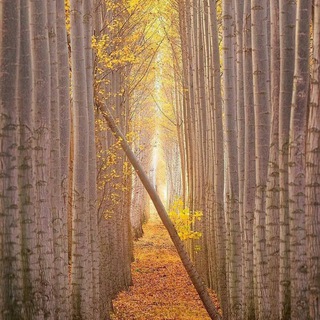 أجّمًلَ مًآ کْتٌبً ? - Telegram Channel