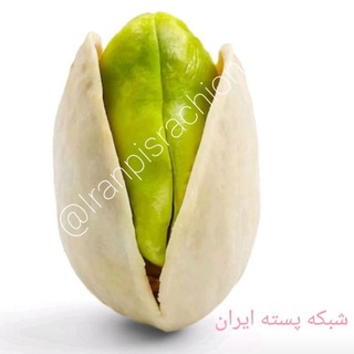 ?شبکه پسته ایران? - Telegram Channel