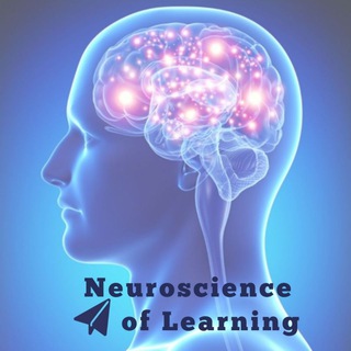 Neuroscience of Learning - Telegram Channel