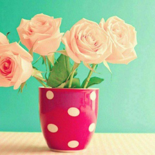 کرم دست ساز کُره ای - Telegram Channel