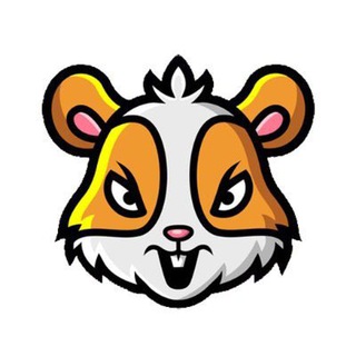 HamsterCoin ?? Türkiye ?? Telegram channel