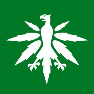 DHV - Hanfverband News Telegram channel