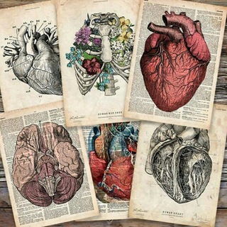 فیزیولوژی - Telegram Channel