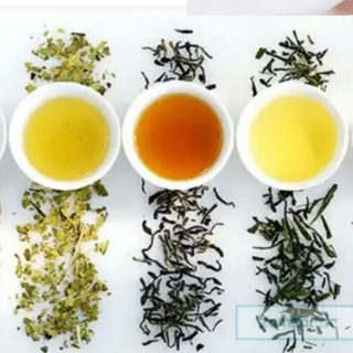 شوک لاغری - Telegram Channel