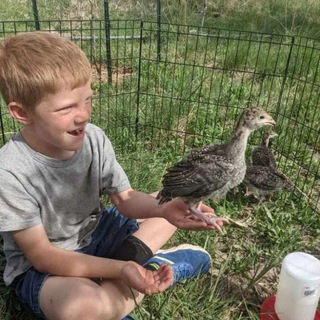 ⁦ - Telegram Channel