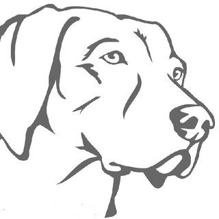 Hundeschule Bayerischer Wald Telegram channel